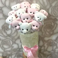 سرزمین بوکت های خرسی که میگن اینجاست