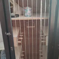 قفس پرنده