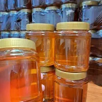 عسل های طبیعی و خوشمزه