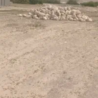 فروش زمین مسکونی