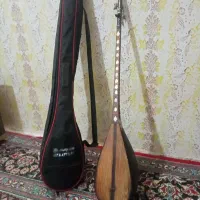 دوتار صدف کاری