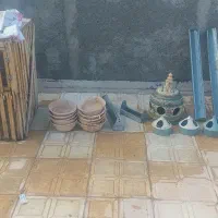لوازم کبوتر