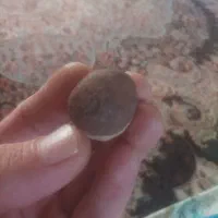 سلام شهاب سنگ  بدون شناسنامه  قیمت مناسب