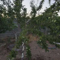 باغچه 1700متر در همت آباد