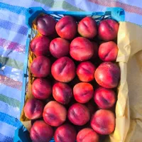 کارگرمغازه میوه فروشی