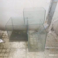 اکواریوم در حد نو