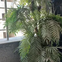 درخت نخل مصنوعی