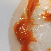 ماهی قرمز هاتونو بیارید آبشار