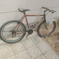 دوچرخه