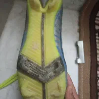 کفش|کفش و لباس بچه|کامیاران, |دیوار