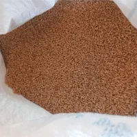 گندم به شرط نان