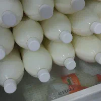 دوغ گوسفندی تلمی