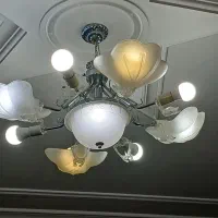 دو عدد لوستر فروشی
