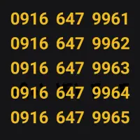 0916.647.9961