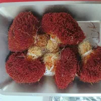 خشکبار قائنات