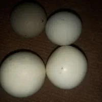 سنگ آسیاب