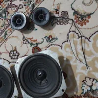 باند و تیوتر