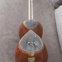 تار حرفه ای دو مهر