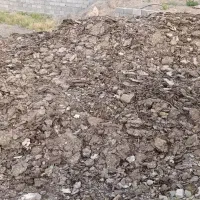 کد مرغی گوشتی درجه یک