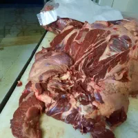 پخش گوشت گوساله تازه