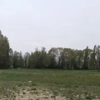فروش زمین کشاورزی ۱۸۰۰متر مربع