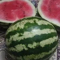 هندوانه جوین درجه 1