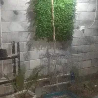 نظافتچی آقا هستم 36 ساله و راننده سواری