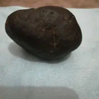 شهاب سنگ بشرط کارشناسی