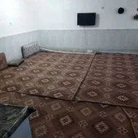 سوییت