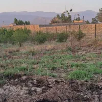 زمین با کاربری مسکونی باغ