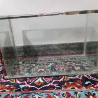 آکواریوم