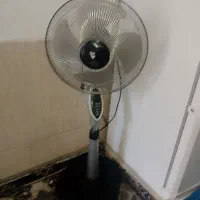 پنکه ایستاده
