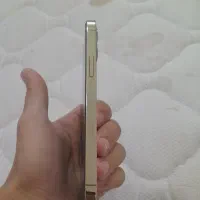 iPhone 12 Pro|موبایل|نیشابور, شهرک ولیعصر|دیوار