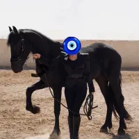 اسب مادیان فیریزین ۳ ساله پیپر هلند