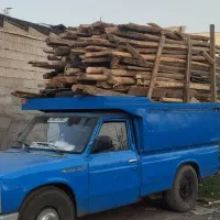 تخریب و خرید فروش هرنوع چوب درخت
