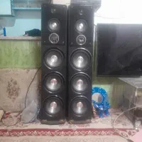 یک جفت باند دوقلو سناتور