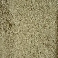 گل پر تازه