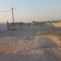 فروش زمین ۳۰۰ متری دهقاید برازجان