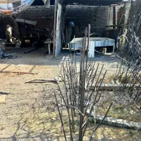 حفاظ نرده شاخ گوزنی رو دیواری