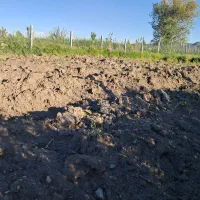 زمین کشاورزی