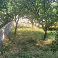 باغ-نقلی-در-روستای-ترپ