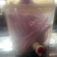 ظرف مسافرتی