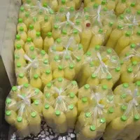 آبلیمو طبیعی