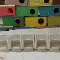 لانه مرغ عشق و کوتوله