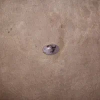 چندتا سنگ شجر قائنات معدنی یه گردنی بازنجیر