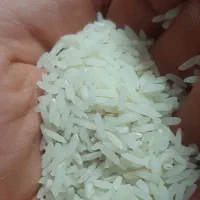 برنج طارم درجه یک
