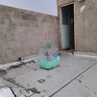کوتوله برزیلی