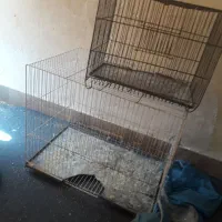 قفس بزرگ و کوچیک مفت