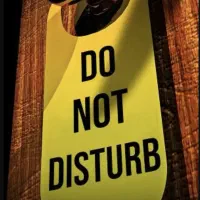 کتاب DO NOT DISTURB نوشته فریدا مک فادن زبان اصلی