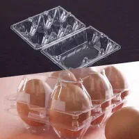 شانه و ظرف تخم مرغ طلقی